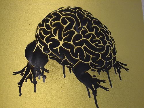 brain.jpg