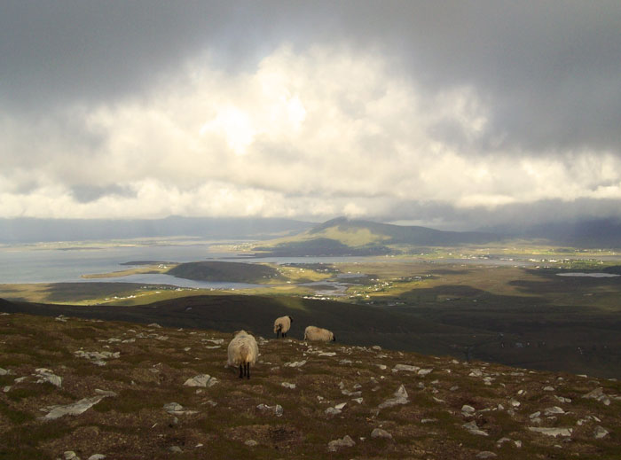 irland8